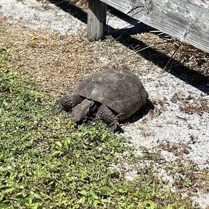 Meet your Posher, Enrique